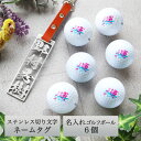 ゴルフ ネームプレート 名入れ 【ステンレス切り文字 ネームタグ&名入れゴルフボール6個セット】本革ベルト 漢字 英字 名前だけのシンプルデザイン ゴルフボール 名入れ ゴルフバッグ キャディバッグ 名札 ブリヂストン スリクソン タイトリスト キャロウェイ