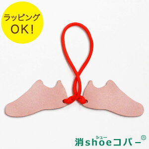 ＜あす楽＞即日対応 ／消shoe(シュー)コパー【消臭グッズ】／運動靴の匂い・革靴・スニーカー・ハイヒール、ブーツの匂い。汗や蒸れたいやな匂いを消臭します。銅のパワーで消臭　【贈り物】【消臭の力】【銅】【消臭元を銅の力でカット】消臭剤　靴箱