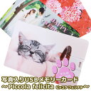 USBメモリ（予算3000円以内） 写真入りUSBメモリーカード〜piccola felicita〜　写真 印刷 プリント USB 規格 USB2.0 容量 は 8GB 16GB から選択可/ カード型 手のひらサイズ プレゼント【贈り物】【ギフト】【オリジナル】【USBカード】【メモリーカード】【子供】【ペット】【アルバム】【名刺サイズ】