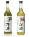 梅酒（3000円） 化粧箱入り　中野BC 緑茶梅酒と蜂蜜梅酒 りょくちゃうめしゅ はちみつうめしゅ 各720ml×2本セット 梅酒 ギフト プレゼント クリスマス 父の日 家飲み　ヤマト運輸　※一部地域送料無料