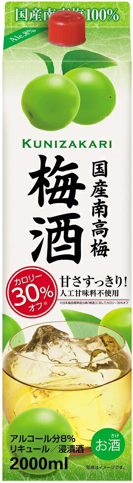 リキュール 梅酒 國盛 国産南高梅梅酒 2000mlパック 2ケース単位12本入 中埜酒造