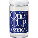 ギフト プレゼント クリスマス 父の日 家飲み ヤマト運輸にて 佳撰 ワンカップ大関 180ml × 30本 1ケース