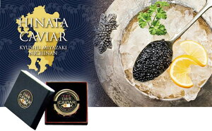 蔵元直送 代金引換不可 食品 キャビア 日南発（ひなた） CAVIAR 20g 箱入り 1個単位 宮崎県 井上酒造