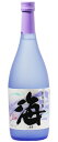 ギフト プレゼント クリスマス 父の日 家飲み 焼酎 芋焼酎 限定品 25° 海 うみ 720ml瓶 4本 鹿児島県 大海酒造 送料無料