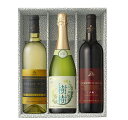 地ワインセット ギフト箱入 ギフト プレゼント クリスマス 父の日 家飲み ヤマト運輸 五ヶ瀬ワイン シャルドネ白辛口720ml&五ヶ瀬樹樹白やや甘口750ml...