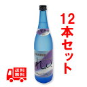 送料無料　れんと　25度/720ml　12本