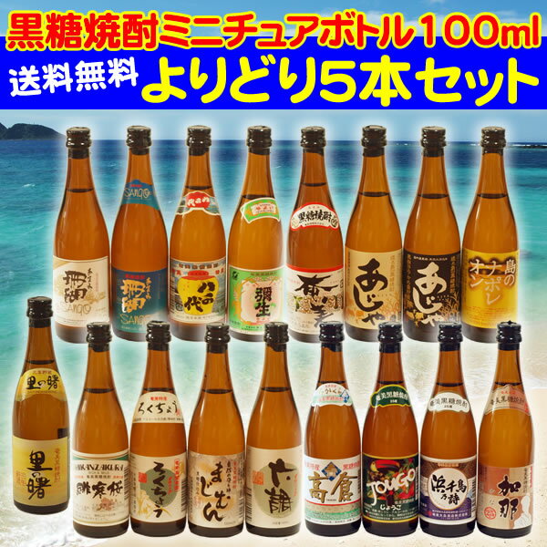 【送料無料】黒糖焼酎ミニボトル(100ml)15本セット