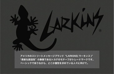 LARKiNS ラーキンス リュックサック デイパック かぶせリュック 大きめ ブラック 大容量 40リットル 防水 ターポリン ブラック 通勤 通学 旅行 部活 メンズ レディース 【プレゼント】 LKPM-27