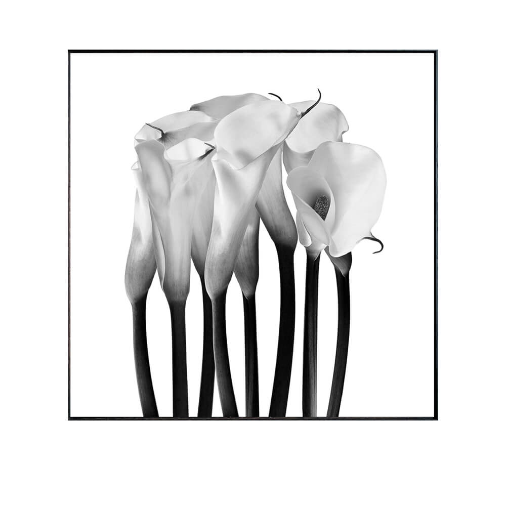 Photography Calla アートポス...の紹介画像2