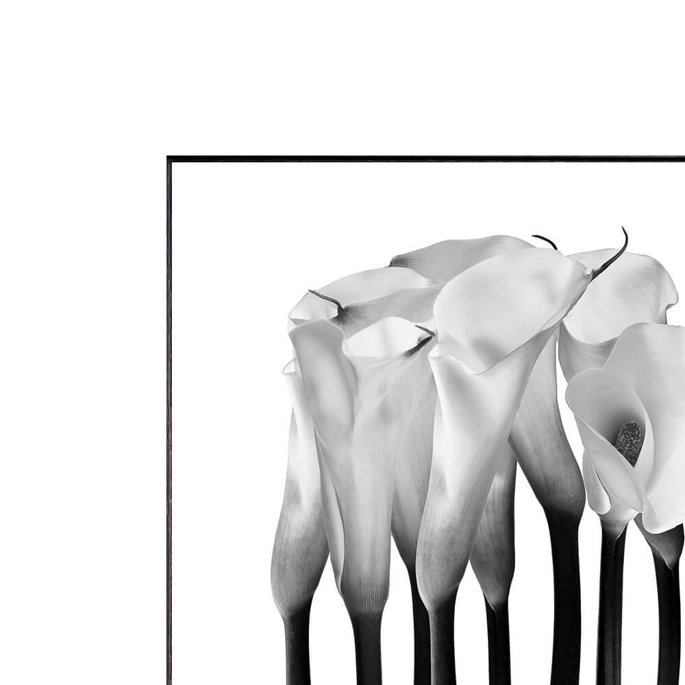 Photography Calla アートポス...の紹介画像3