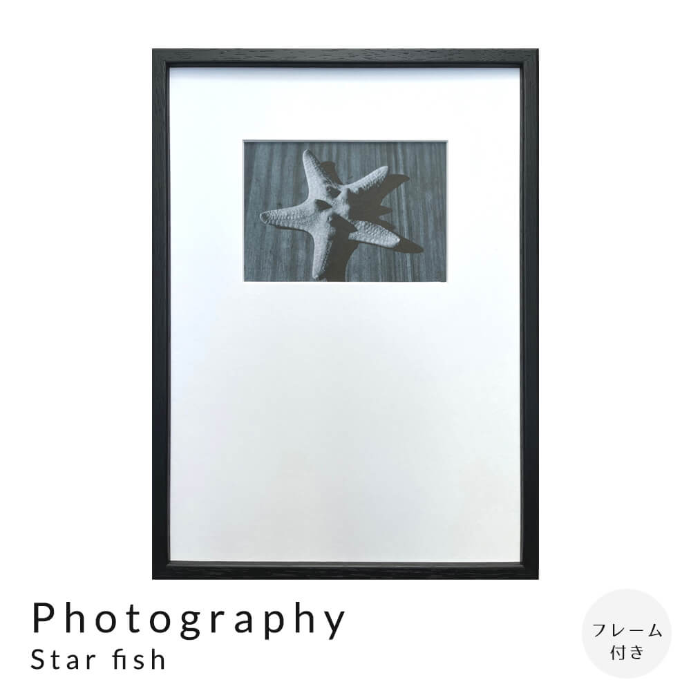 【楽天ブラックフライデー★ポイント5倍】 Photography Star fish アートポスター（フレーム付き） アー..