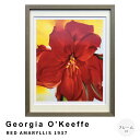 【楽天スーパーSALE★ポイント10倍】 Georgia O’Keeffe(ジョージア オキーフ) RED AMARYLLIS 1937 アートポスター(フレー...