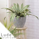 グリーンベース 6号 プランター 植木鉢 グリーンベース フラワーベース 観葉植物 円形 送料無料 おしゃれ マグネシウム グレー ナチュラル シンプル 北欧 ...