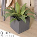 グリーンベース 6号 プランター 植木鉢 グリーンベース フラワーベース 観葉植物 円形 送料無料 おしゃれ