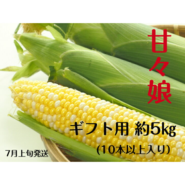 長野県産 朝採り とうもろこし 甘々娘 ギフト用 秀品 Mから2Lサイズ 10〜15本 約5kg 送料無料 産地直送 お中元 プレゼント ギフト 信州 スイートコーン 野菜 やさい 旬のフルーツ お取り寄せ