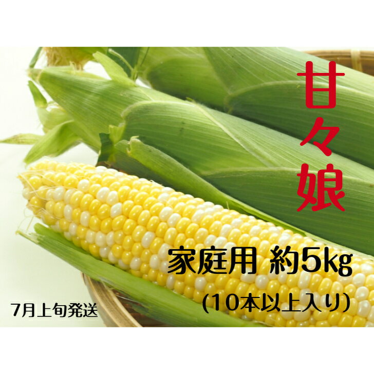 長野県産 朝採り とうもろこし 甘々娘 家庭用 Mから2Lサイズ 10〜15本 約5kg 送料無料 産地直送 お中元 プレゼント ギフト 信州 スイートコーン 野菜 やさい 旬のフルーツ お取り寄せ