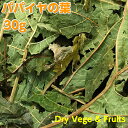 うちのらぱん 国産 パパイヤの葉 30g うさぎ 小動物 無農薬栽培