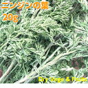 うちのらぱん 国産 ニンジンの葉 20g うさぎ 小動物 おやつ