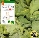 うちのらぱん 国産 (徳用)ブロッコリーの葉 100g うさぎ 小動物 おやつ uchinolapin