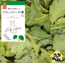うちのらぱん 国産 ブロッコリーの葉 30g うさぎ 小動物用 おやつ uchinolapin