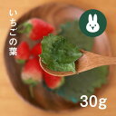 【無添加・無着色・国産】うちのらぱん イチゴの葉&茎 30g 小動物おやつ|うさぎ・ハムスター・モルモット・チンチラに最適|自然派乾燥野菜|チャック付きパッケー...