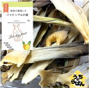 新発売 うちのらぱん パイナップルの葉 8g うさぎ 小動物 おやつ