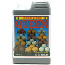 国華園 QUEEN 1kg クィーン 菊