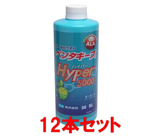 （特価）ペンタキープ ハイパー Hyper 5000 800ml (1.05kg) 12本セット販売 コスモ誠和