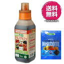 万田アミノアルファ　500ml+ネクスコート肥料 25g 