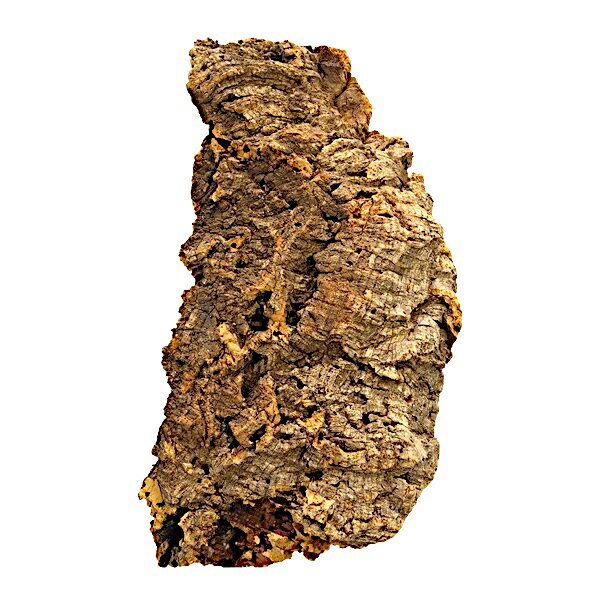 バージン コルク デ ィスプレイ 大 約500g1個【サイズ、形のバラつきあります】