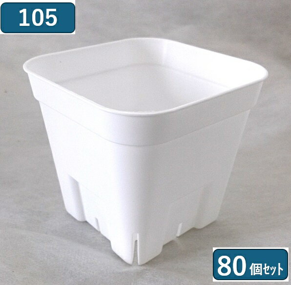 プレステラ 鉢 105型 ホワイト 白 80個セットのサムネイル