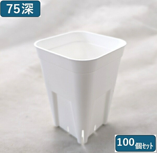 プレステラ 75型　深鉢 ホワイト 白 100個セットのサムネイル