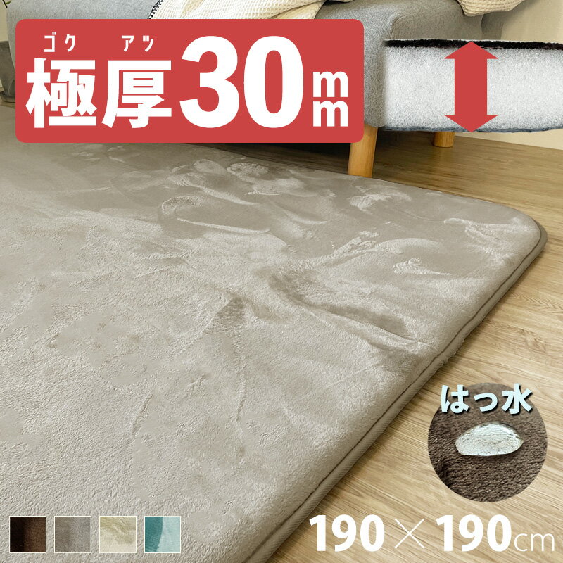 SALE 7280円→6780円 【撥水 防汚】 厚み 30mm 3cm 190×190cm ラグマット ラグ 撥水加工 厚手 送料無料 正方形 さらさら 絨毯 滑り止め カーペット 2畳 北欧 フランネル はっ水 防汚 撥水 190 ふわふわ 無地 モノトーン グレージュ ベージュ 韓国インテリア 父の日