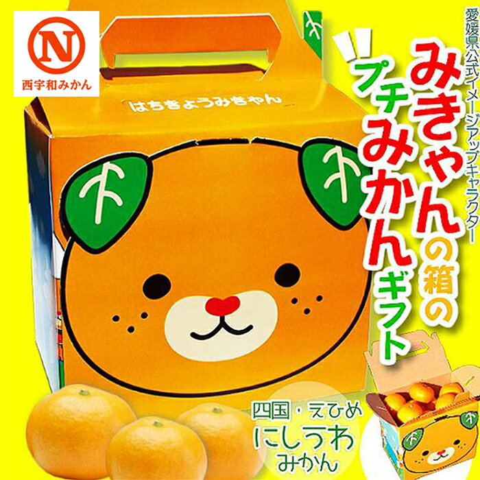 【 みなのみきゃん 1.5kg × 2箱セット 2S～Sサイズ （ 小玉 ） 】 八協共選 はちきょうみかん 愛媛 西宇和の"逸品" 愛媛みかん 八幡浜 西宇和 甘い あまい みかん 産地直送 送料無料のサムネイル