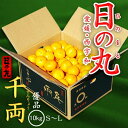 【予約受付中】日の丸みかん 千両 優品 Lサイズ 10kg 愛媛県西宇和産 産地直送 送料無料