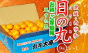 【予約受付中】日の丸みかん ガキ大将(ご家庭用)Mサイズ 5kg 産地直送 送料無料