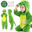 子供用 なりきり ダイナソー ドラゴン 着ぐるみ スーツ コスチューム 辰 龍 竜 干支2024年 干支 辰年 たつ ドラゴン りゅう 年賀状 衣装 キッズ 子...