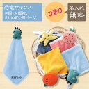 名入れ無料 5枚セット ループ付き タオル 恐竜サックス ハンカチ マイクロファイバー 名前入り 刺繍 ループタオル ハンドタオル 卒業 卒園式 手拭き 保育園...