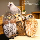 本物のような フクロウ ぬいぐるみ 45cm×22cm鳥 ふくろう 梟 猛禽類 本物 おもしろ びっくり サプライズ 人形 枕 抱き枕 だきまくら クッション おもちゃ 誕生日 お祝い ギフト 贈り物 プレゼント ラッピング カー用品 車用品 防犯 インテリア