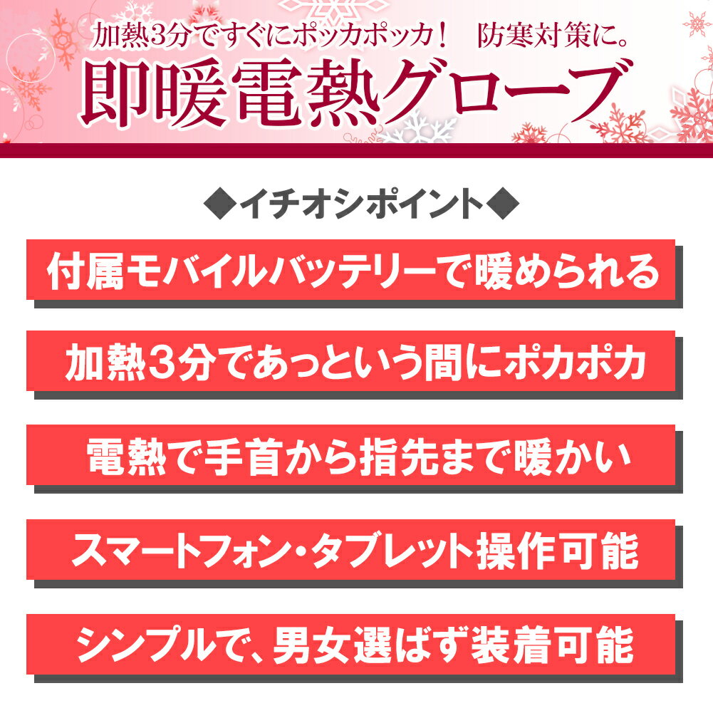 【送料無料】 【即納】 充電式 電熱グローブ レディース メンズ ブラック 2サイズ 防寒 電熱グローブ 電熱 グローブ 電熱手袋 ヒーター グローブ ヒーター手袋 バイク 自転車 登山 除雪 釣り キャンプ アウトドア