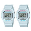 国内正規品 CASIO G-SHOCK Gショック ジーショック カシオ 時計 メンズ レディース ペアウォッチ 腕時計 ペールトーン ユースカルチャーモデル SPECIAL COLOR DW-5600SC-8JFDW-5600SC-8JF 内祝い 母の日 お祝い