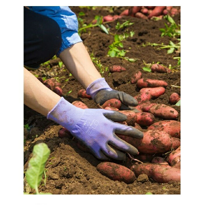 �Τ饹������ ���Ȥ������ NSR-45 10���� ����ȼ��� ��ǥ����� ��� �����ǥ˥󥰥������� ���ߤ� ������� ���쥿�󥳡��ƥ��� ��ȴ�� �����ڱ� �ݽ� �ԥ� �ѡ��ץ�