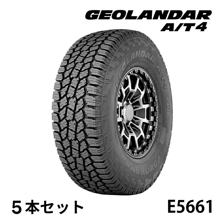e5661-5.jpg