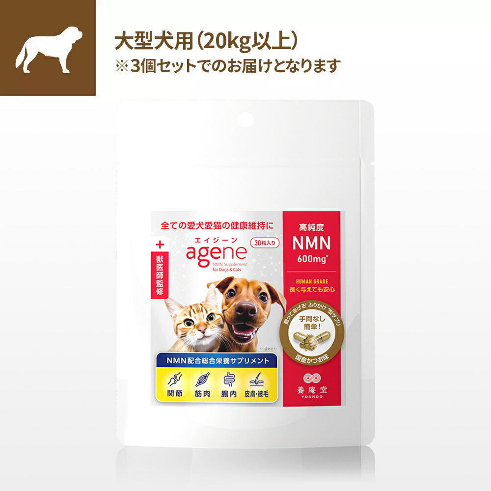 楽天阿部養庵堂薬品 楽天市場店愛犬愛猫専用 NMNサプリメント agene（エイジーン） 大型犬（体重20kg以上）/3個セット ペット サプリ 健康維持 エイジングケア