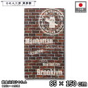 のれん 洋風 85cm幅 150cm丈 レンガ ブルックリン ニューヨーク New York ブロードウェイ Broadway マンハッタン アメリカン 暖簾 半間 洋柄 モダン 間仕切り タペストリー 入口 店頭 軒先 業務用 店舗用 飲食店 居酒屋