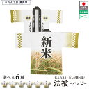 はっぴ ハッピ 法被 名入れ 名前入れ 文字入れ 米 新米 スーパー セール 祭 イベント フリーサイズ 直売 産地直売 全6種