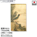 のれん 円山応挙 和風 85cm幅 150cm丈 青鸚哥図 風景 ベージュ 暖簾 半間 和柄 日本画 絵画 浮世絵 歌舞伎 名画 屏風 障壁画 間仕切り 目隠し...