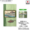 のれん 東海道五十三次 和風 85cm幅 150cm丈 2種 歌川広重 保永堂 小田原 緑 グリーン 暖簾 半間 和柄 日本画 絵画 浮世絵 歌舞伎 名画 屏風 障壁画 間仕切り 目隠し タペストリー 入口 店頭 軒先 業務用 店舗用 飲食店 居酒屋