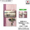 のれん 東海道五十三次 和風 85cm幅 150cm丈 2種 歌川広重 保永堂 原 ピンク 紫 パープル 暖簾 半間 和柄 日本画 絵画 浮世絵 歌舞伎 名画 屏風 障壁画 間仕切り タペストリー 入口 店頭 軒先 業務用 店舗用 飲食店 居酒屋