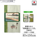 のれん 東海道五十三次 和風 85cm幅 150cm丈 2種 歌川広重 保永堂 金谷 緑 グリーン 暖簾 半間 和柄 日本画 絵画 浮世絵 歌舞伎 名画 屏風 障壁画 間仕切り 目隠し タペストリー 入口 店頭 軒先 業務用 店舗用 飲食店 居酒屋